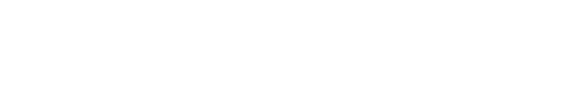 secret service fan shop